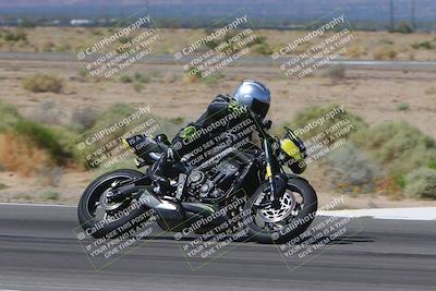 media/Oct-01-2023-SoCal Trackdays (Sun) [[4c570cc352]]/Turn 14 Side (1135am)/